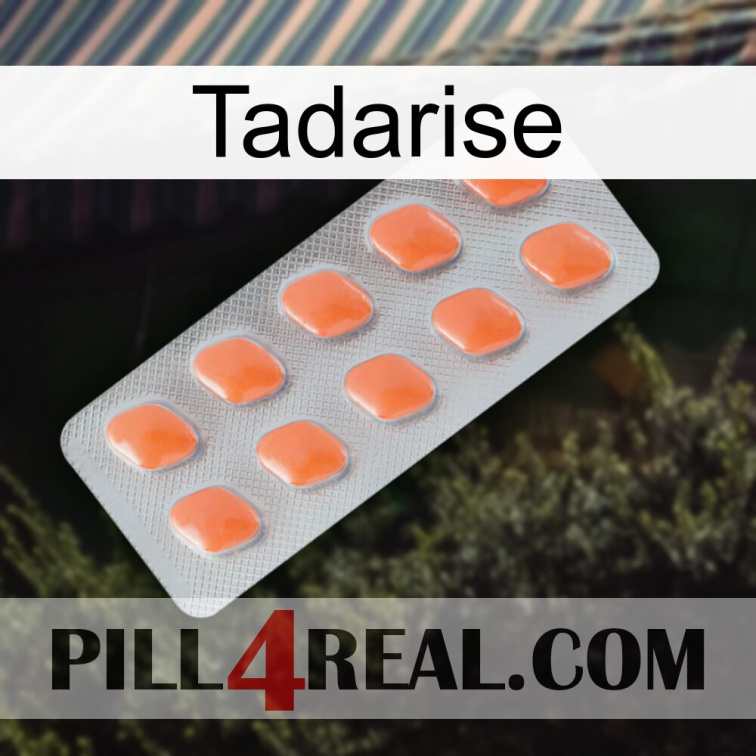 Tadarise 26